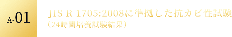 A-01 JIS R 1705:2008に準拠した抗カビ性試験 （24時間培養試験結果）