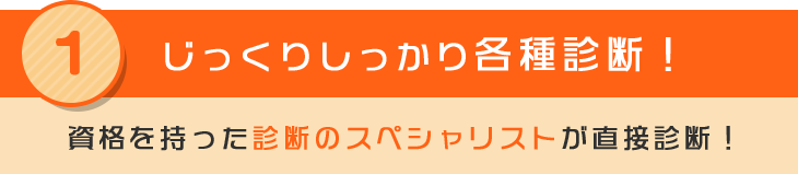1 じっくりしっかり各種診断！資格を持った診断のスペシャリストが直接診断！