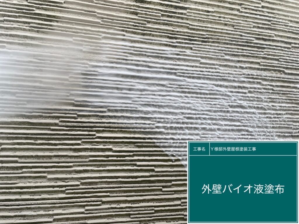 外壁バイオ洗浄