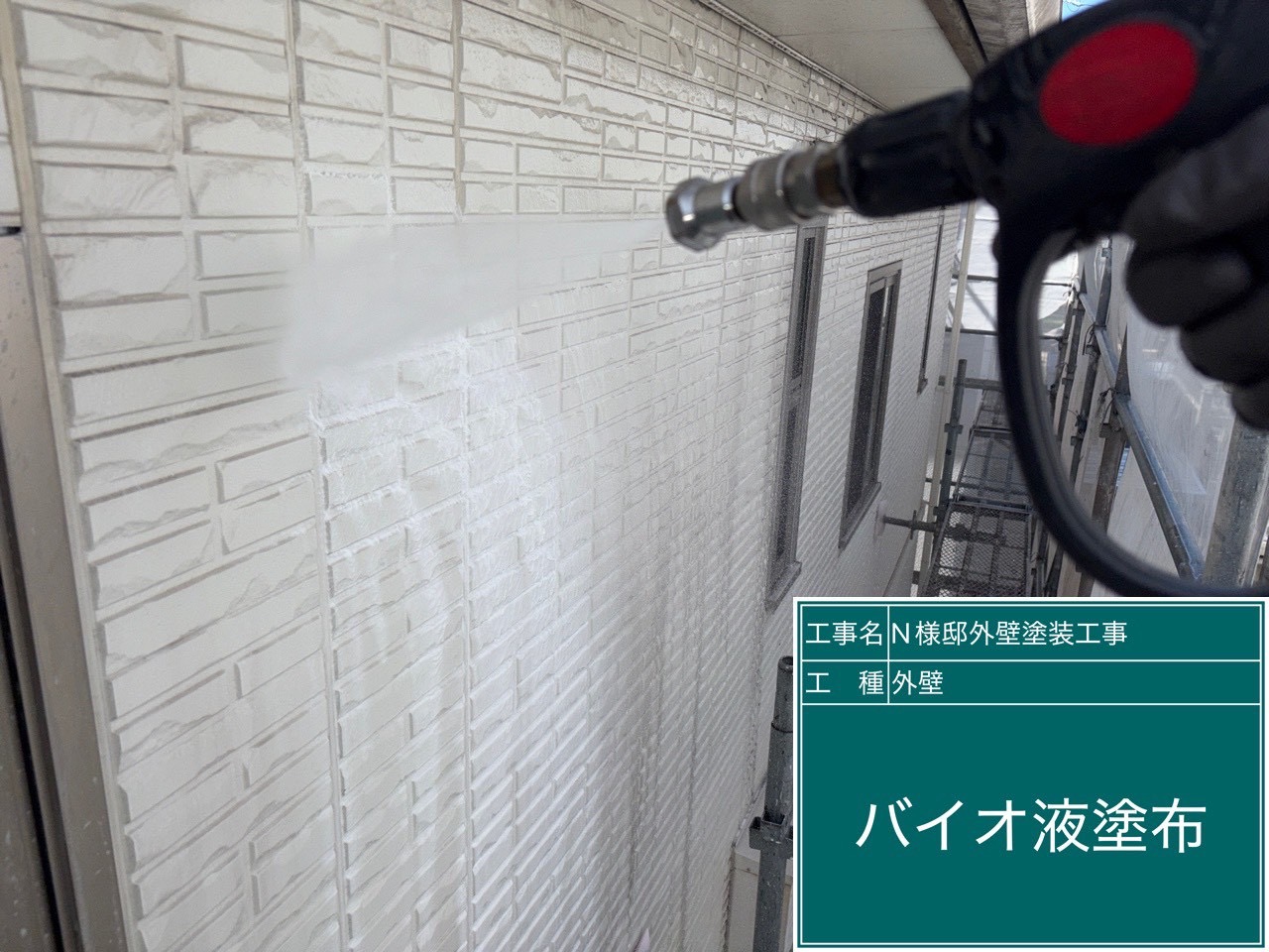 壁バイオ液塗布